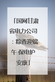 国网甘肃省电力公司：粽香迎端午 保电护安康