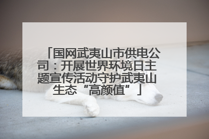 国网武夷山市供电公司：开展世界环境日主题宣传活动守护武夷山生态“高颜值”