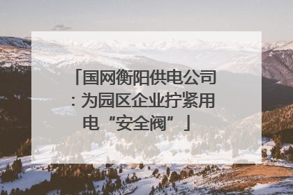 国网衡阳供电公司：为园区企业拧紧用电“安全阀”