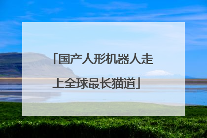 国产人形机器人走上全球最长猫道