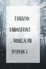 国足0:1输给印尼，彻底无缘世界杯