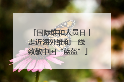 国际维和人员日丨走近海外维和一线 致敬中国“蓝盔”
