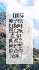 国际原子能机构吁重启核查 伊朗议会通过暂停合作法案