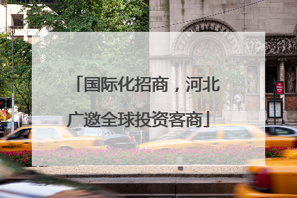 国际化招商，河北广邀全球投资客商