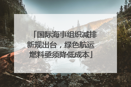 国际海事组织减排新规出台,绿色航运燃料亟须降低成本