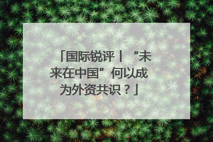 国际锐评丨“未来在中国”何以成为外资共识？