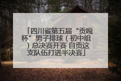 四川省第五届“贡嘎杯”男子排球（初中组）总决赛开赛 自贡这支队伍打进半决赛