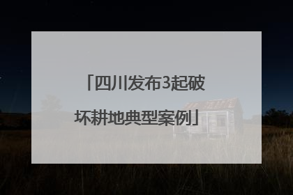 四川发布3起破坏耕地典型案例