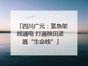 四川广元：紧急架线通电 打通秧田灌溉“生命线”