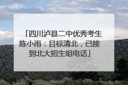 四川泸县二中优秀考生陈小雨：目标清北，已接到北大招生组电话