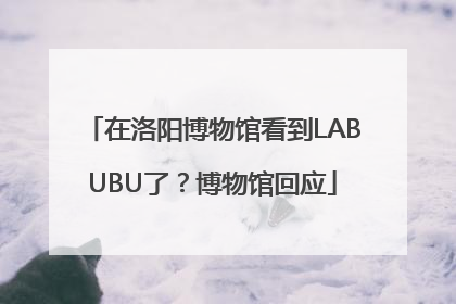 在洛阳博物馆看到LABUBU了？博物馆回应