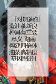 对加速创造油茶新良种具有重要意义 湖南构建四倍体油茶高精度基因图谱