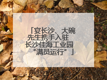 宴长沙、大碗先生携手入驻 长沙佳海工业园“满员运行”