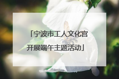 宁波市工人文化宫开展端午主题活动