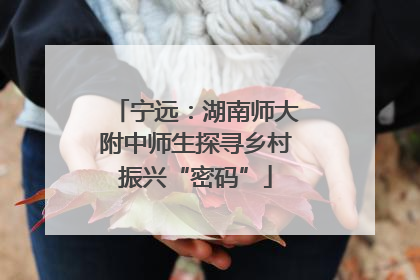 宁远：湖南师大附中师生探寻乡村振兴“密码”