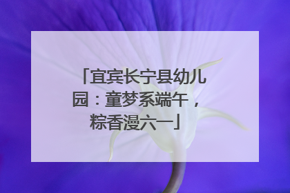 宜宾长宁县幼儿园：童梦系端午，粽香漫六一