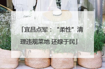 宜昌点军：“柔性”清理违规菜地 还绿于民
