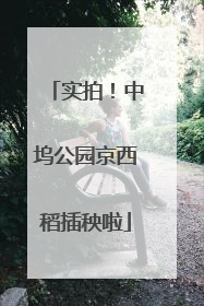 实拍！中坞公园京西稻插秧啦