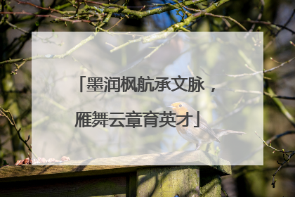墨润枫航承文脉，雁舞云章育英才