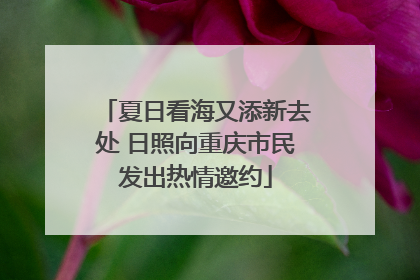 夏日看海又添新去处 日照向重庆市民发出热情邀约
