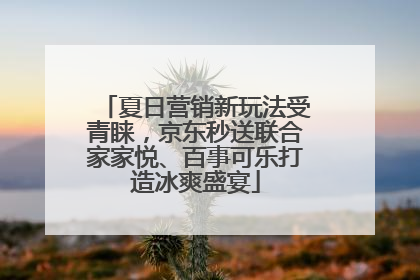 夏日营销新玩法受青睐，京东秒送联合家家悦、百事可乐打造冰爽盛宴