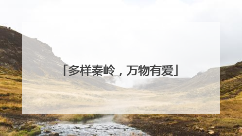 多样秦岭，万物有爱
