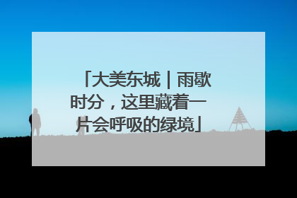 大美东城｜雨歇时分，这里藏着一片会呼吸的绿境