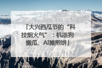 大兴西瓜节的“科技烟火气”：机器狗搬瓜、AI摊煎饼