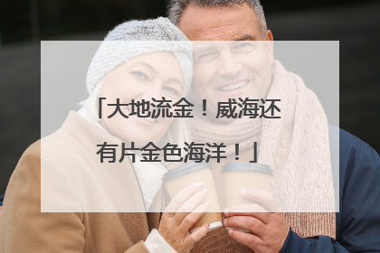 大地流金！威海还有片金色海洋！