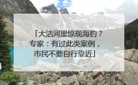 大沽河里惊现海豹？专家：有过此类案例，市民不要自行靠近