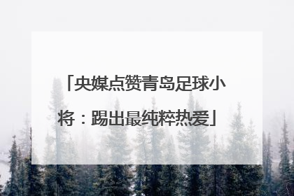 央媒点赞青岛足球小将：踢出最纯粹热爱
