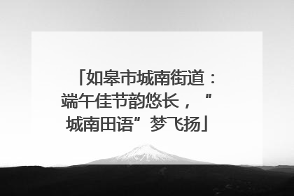 如皋市城南街道：端午佳节韵悠长，“城南田语”梦飞扬