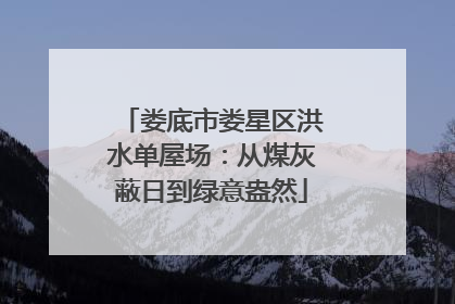 娄底市娄星区洪水单屋场：从煤灰蔽日到绿意盎然