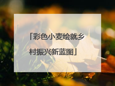 彩色小麦绘就乡村振兴新蓝图