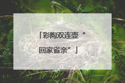 彩陶双连壶“回家省亲”