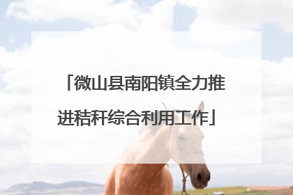 微山县南阳镇全力推进秸秆综合利用工作