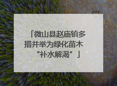 微山县赵庙镇多措并举为绿化苗木“补水解渴”