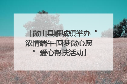 微山县驩城镇举办“浓情端午·圆梦微心愿”爱心帮扶活动