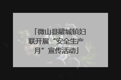 微山县驩城镇妇联开展“安全生产月”宣传活动