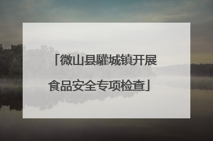 微山县驩城镇开展食品安全专项检查