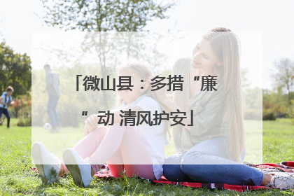 微山县：多措“廉”动 清风护安