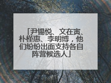 尹锡悦、文在寅、朴槿惠、李明博，他们纷纷出面支持各自阵营候选人