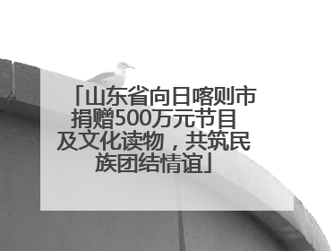 山东省向日喀则市捐赠500万元节目及文化读物，共筑民族团结情谊