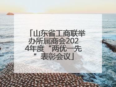 山东省工商联举办所属商会2024年度“两优一先”表彰会议
