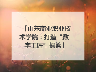 山东商业职业技术学院：打造“数字工匠”摇篮