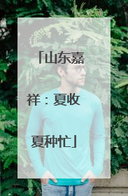 山东嘉祥：夏收夏种忙