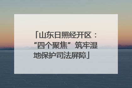 山东日照经开区：“四个聚焦”筑牢湿地保护司法屏障
