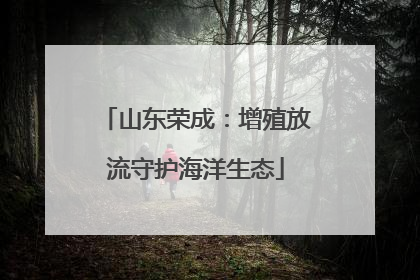 山东荣成：增殖放流守护海洋生态