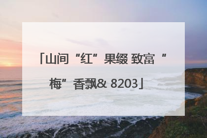 山间“红”果缀 致富“梅”香飘& 8203