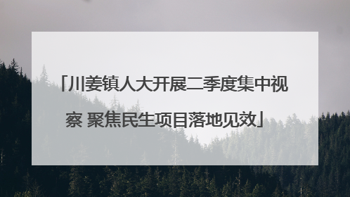 川姜镇人大开展二季度集中视察 聚焦民生项目落地见效